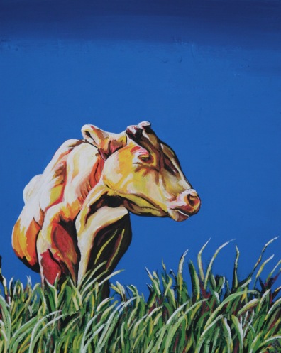 Cow in Spain. $200. 11"x14" canvas panel framed in authentic barnwood.